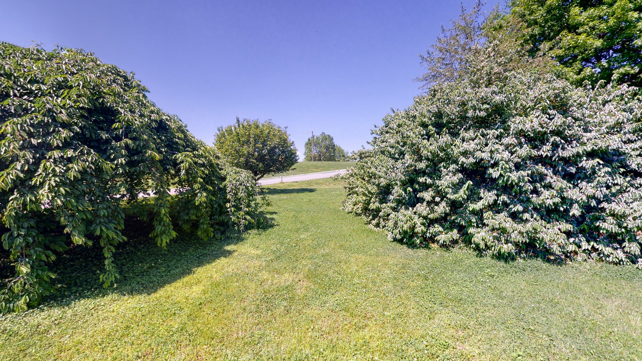 1808 Riverside Drive Old Hickory, TN 37138 - Photo 6 of 34 Gallery Image 6