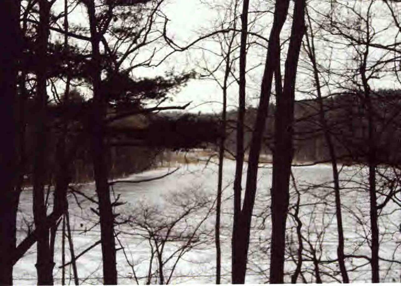 Primary Photo