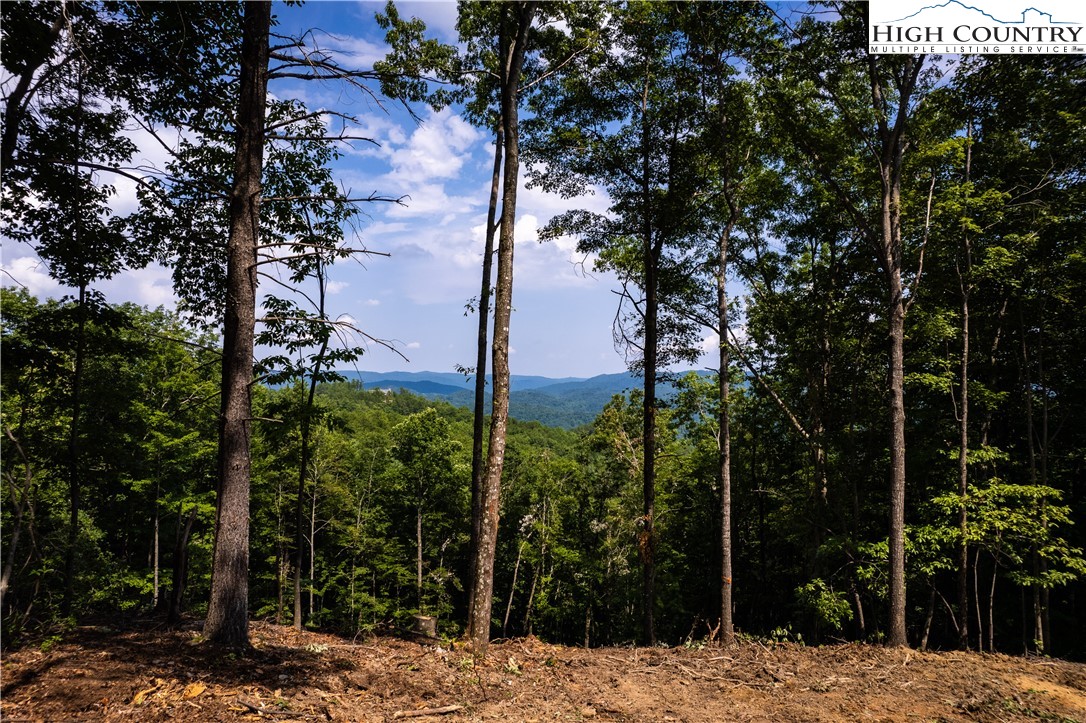 98 Reynolds Parkway Boone, NC 28607 - Photo 3 of 32 Gallery Image 3