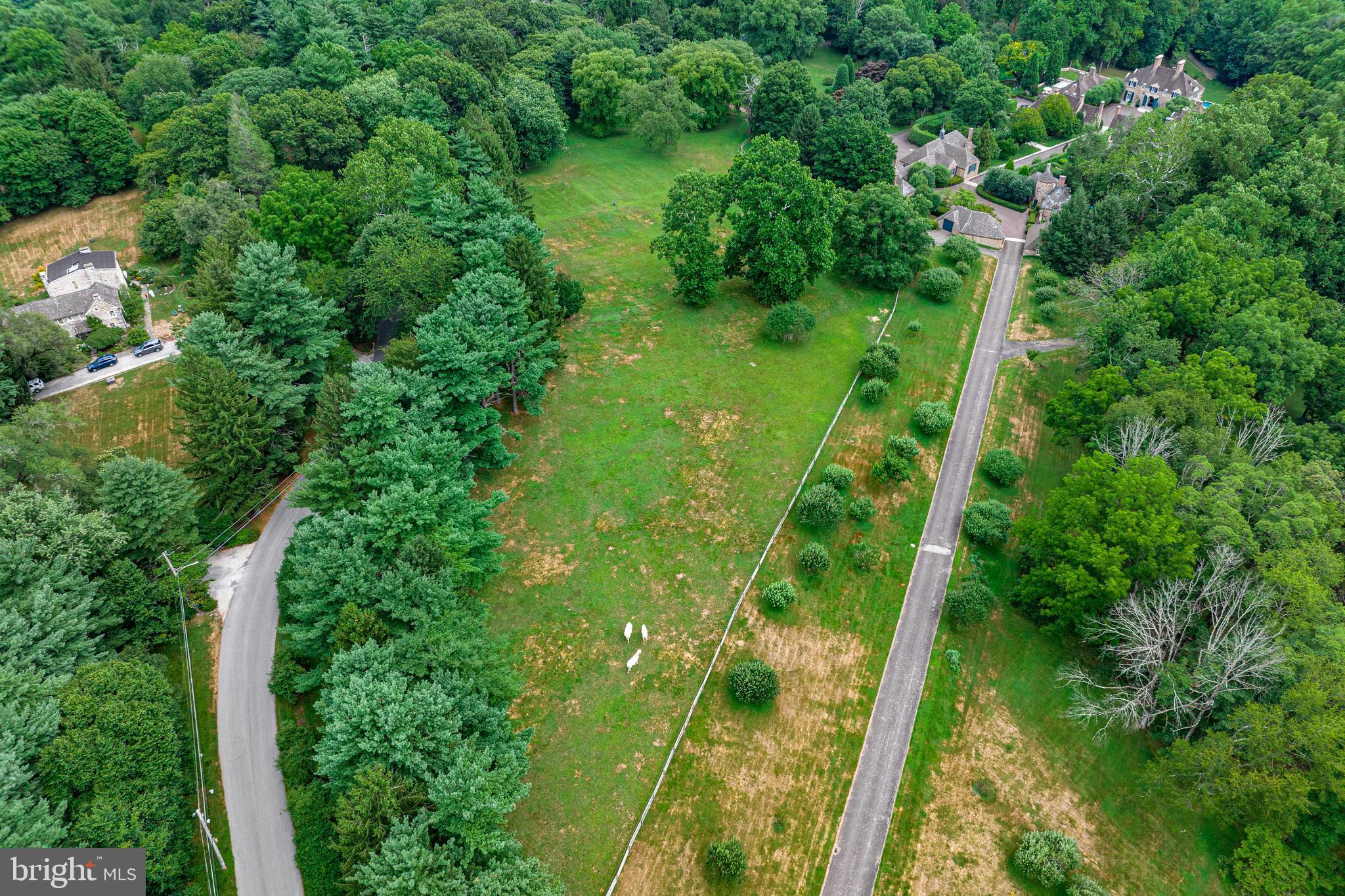 1543 Monk Road, Unit 4 Gladwyne, PA 19035 - Photo 3 of 19