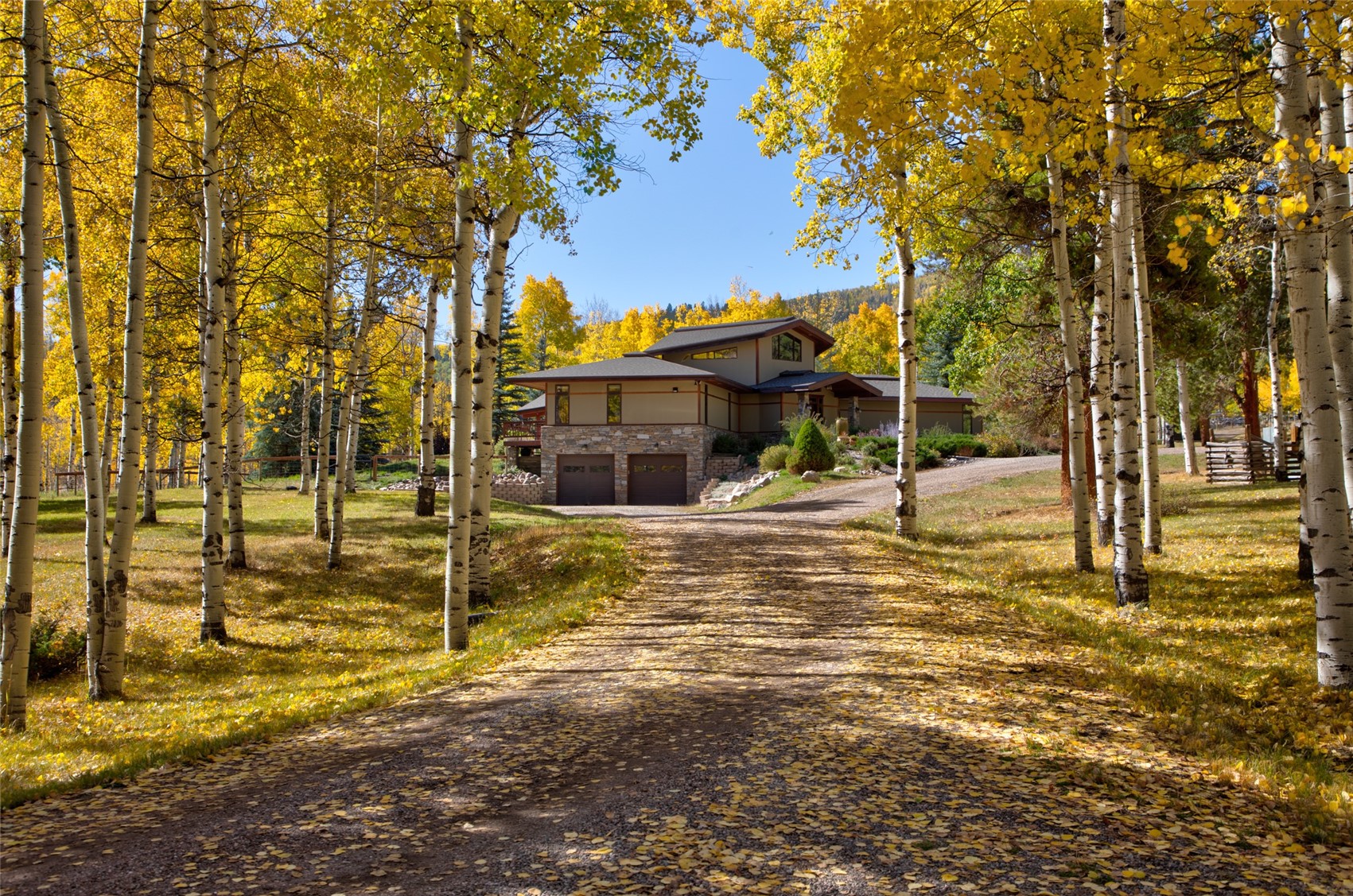 32350 Los Ranchos Road Oak Creek, CO 80467 - Photo 4 of 50 a view of a house with a yard