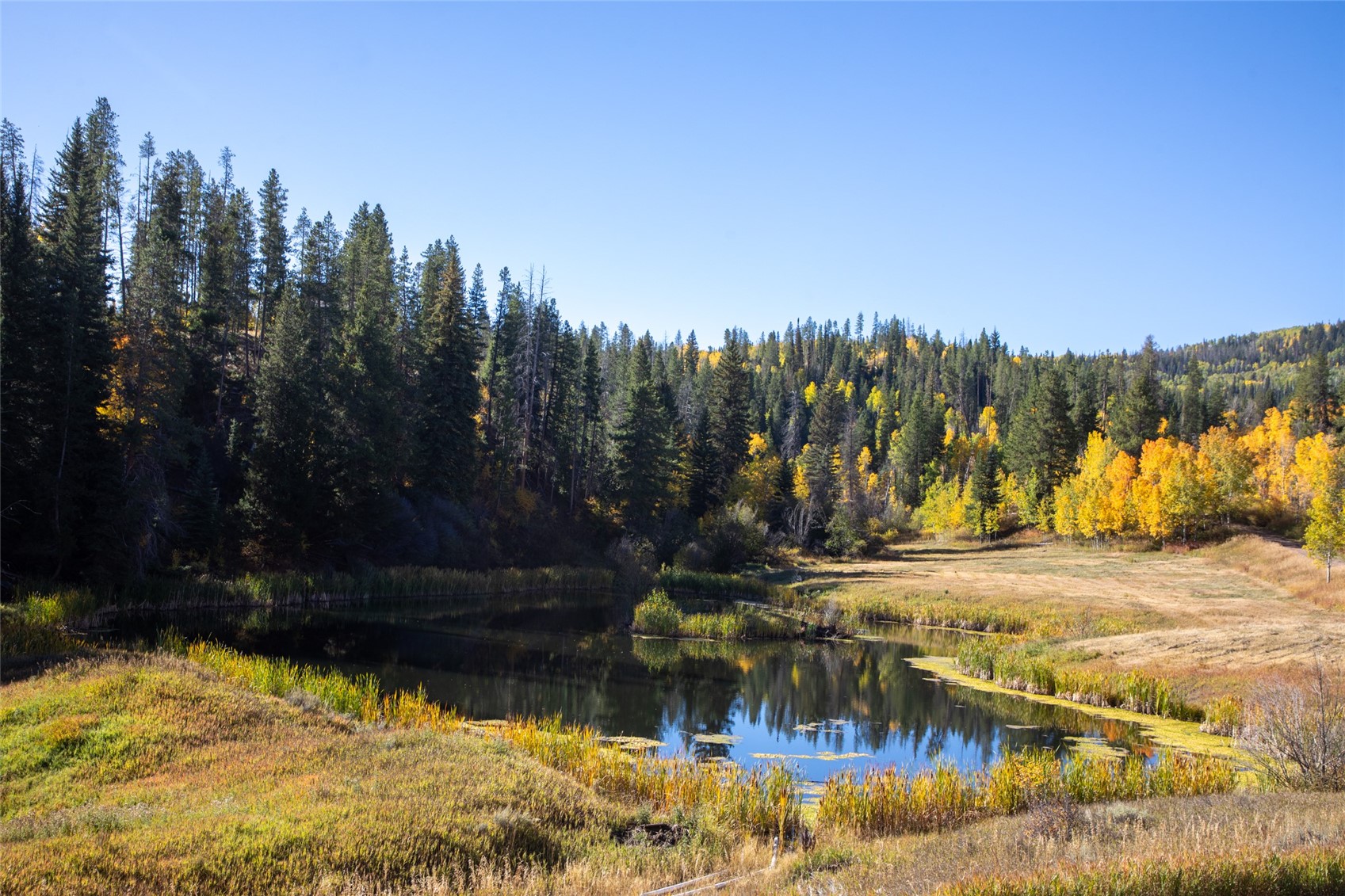 32350 Los Ranchos Road Oak Creek, CO 80467 - Photo 46 of 50 a view of a yard