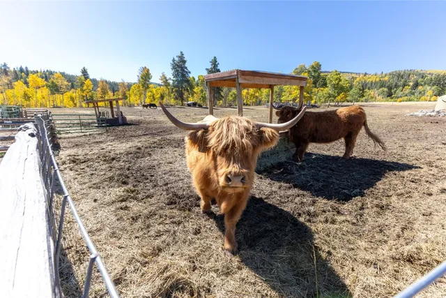 $3,950,000 | 32350 Los Ranchos Road, Oak Creek, CO 80467