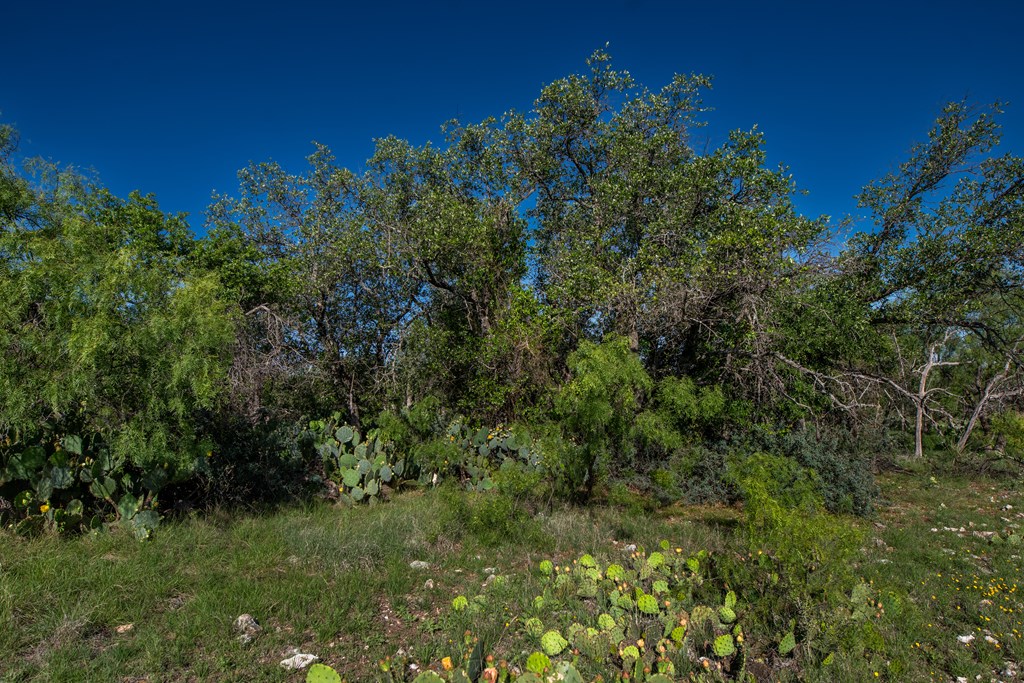 Eor N Spur Eden, TX 76837 - Photo 12 of 40 a view of a garden