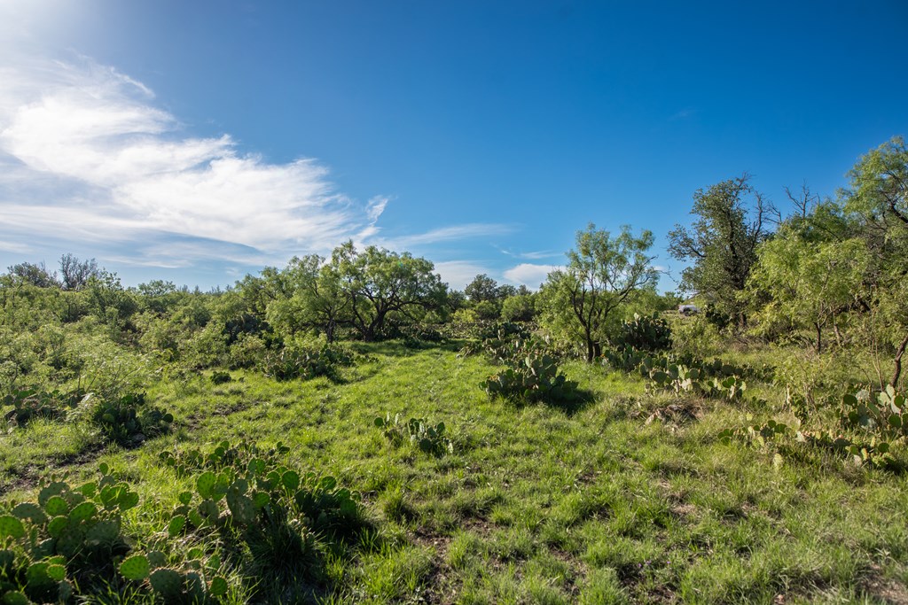 Eor N Spur Eden, TX 76837 - Photo 15 of 40 a view of a green field