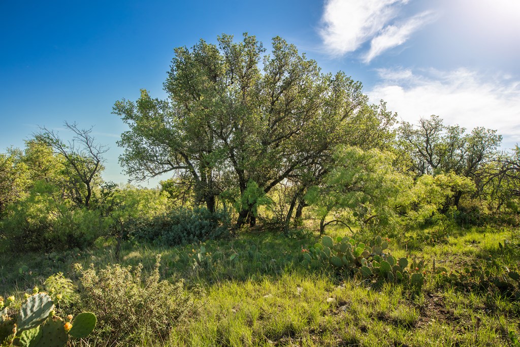 Eor N Spur Eden, TX 76837 - Photo 17 of 40 a view of a lake