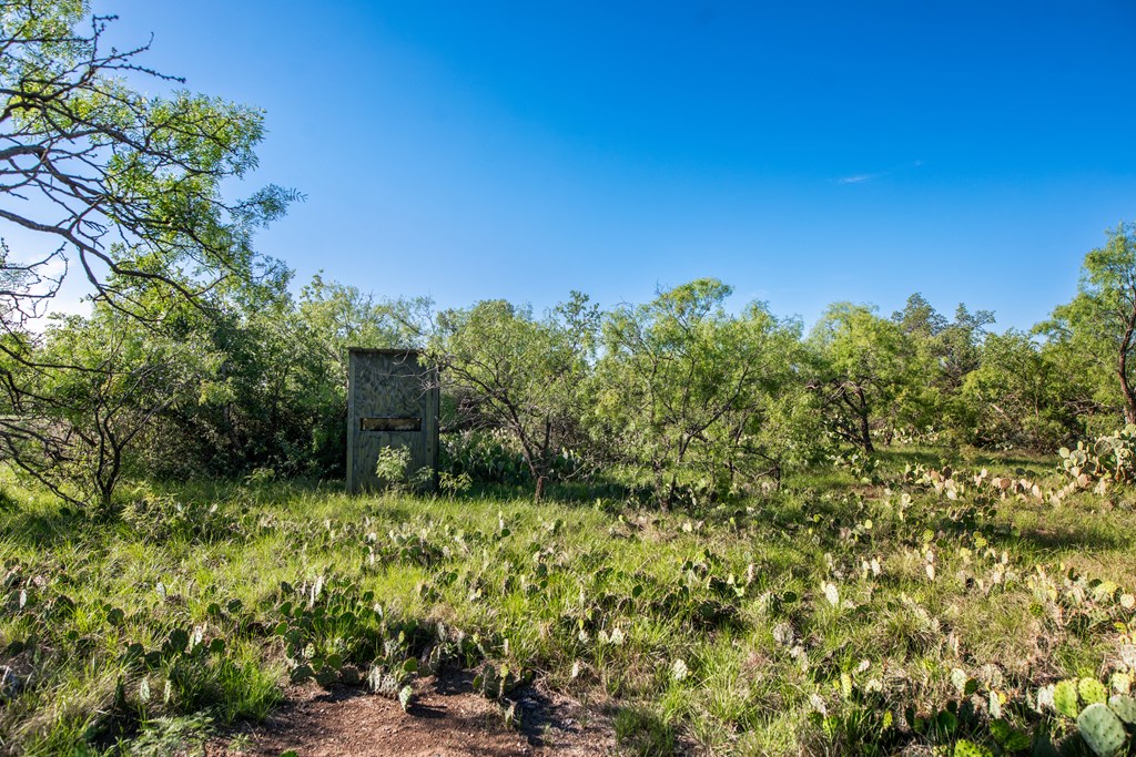 Eor N Spur Eden, TX 76837 - Photo 18 of 40 a view of a garden with plants