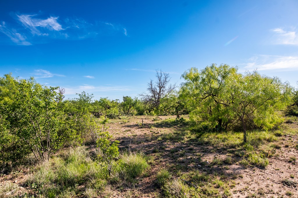 Eor N Spur Eden, TX 76837 - Photo 20 of 40 a view of a yard with a tree
