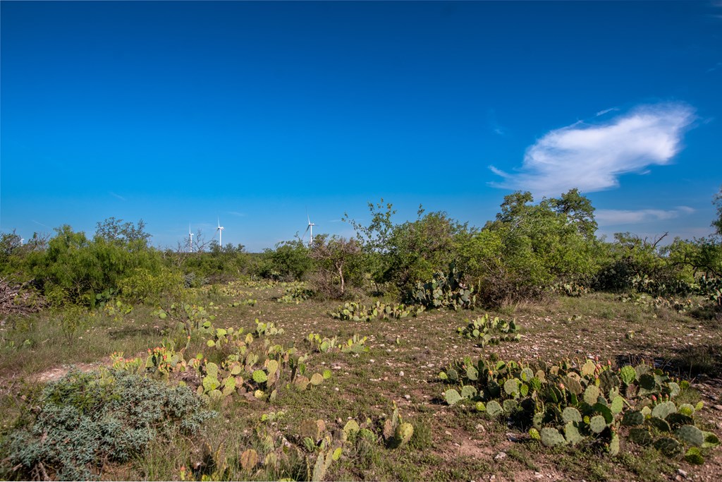 Eor N Spur Eden, TX 76837 - Photo 23 of 40 a view of a bunch of trees and bushes