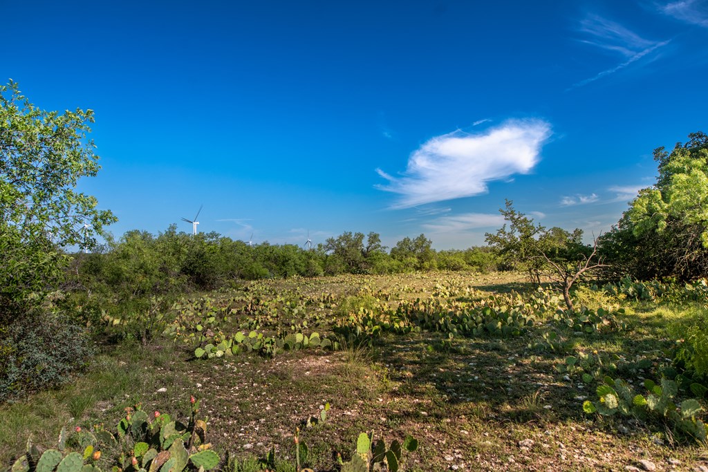 Eor N Spur Eden, TX 76837 - Photo 24 of 40 a view of a city