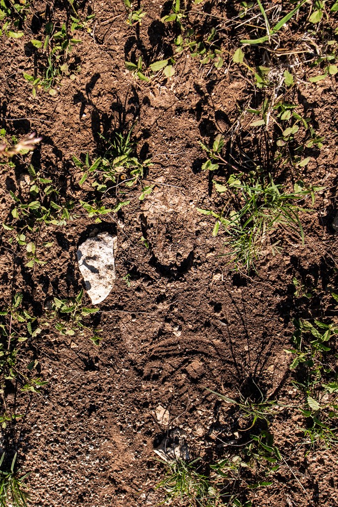 Eor N Spur Eden, TX 76837 - Photo 26 of 40 a view of a tree