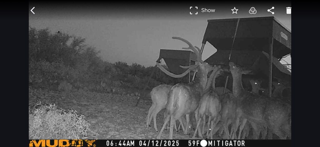 Eor N Spur Eden, TX 76837 - Photo 32 of 40 a picture of a bathroom