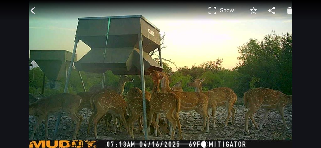 Eor N Spur Eden, TX 76837 - Photo 35 of 40 a view of entrance gate