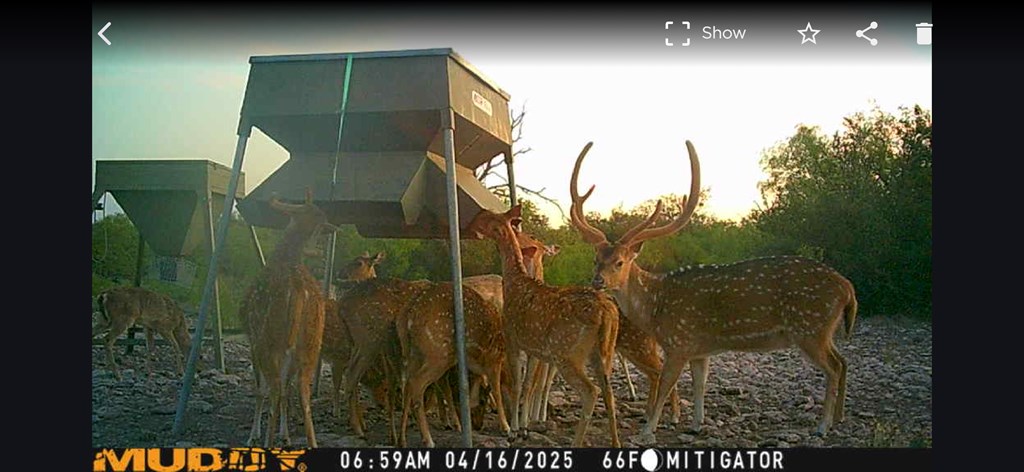 Eor N Spur Eden, TX 76837 - Photo 36 of 40 a view of a glass door