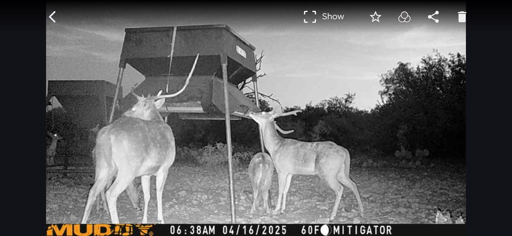 Eor N Spur Eden, TX 76837 - Photo 37 of 40