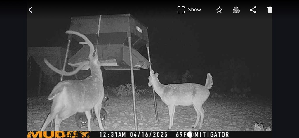 Eor N Spur Eden, TX 76837 - Photo 38 of 40 a bathroom with a toilet