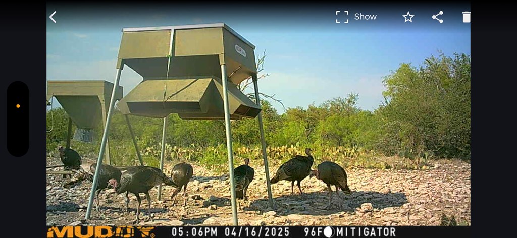 Eor N Spur Eden, TX 76837 - Photo 40 of 40 a view of a wooden floor and a bench in the patio