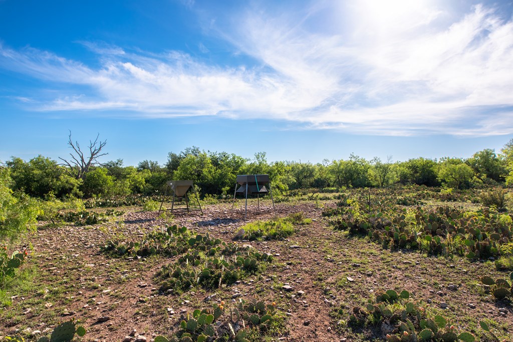Eor N Spur Eden, TX 76837 - Photo 8 of 40 a view of a pathway with a yard