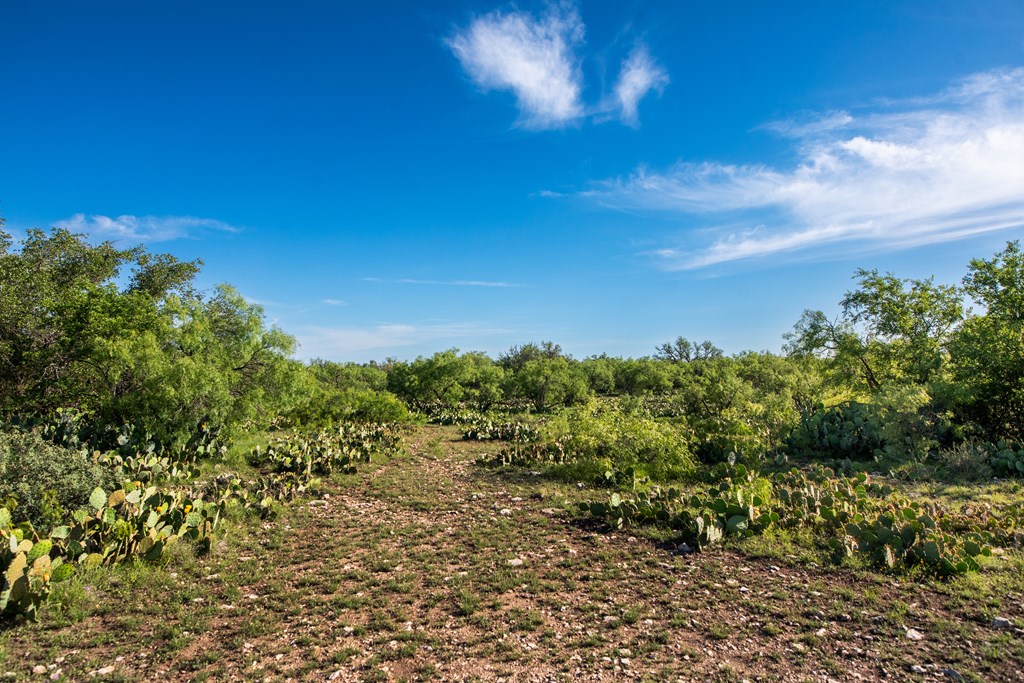 Eor N Spur Eden, TX 76837 - Photo 10 of 40 a view of a city