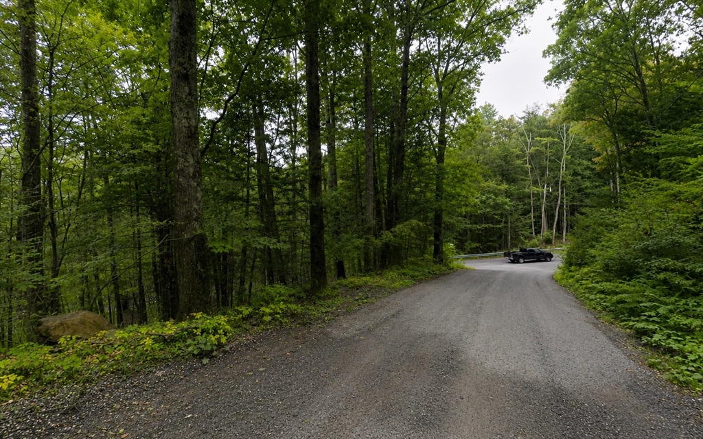 0 William Holmes Road Becket, MA 01223 - Photo 7 of 9 a view of a street with a trees