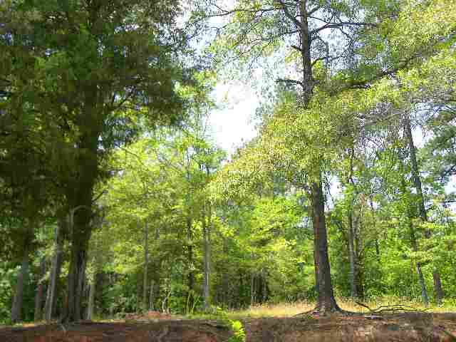 0 Rest Road, Unit INTERIOR LAKE GREENWOOD Waterloo, SC 29384 - Photo 1 of 4