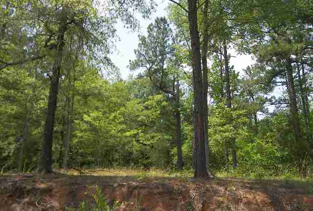0 Rest Road, Unit INTERIOR LAKE GREENWOOD Waterloo, SC 29384 - Photo 2 of 4