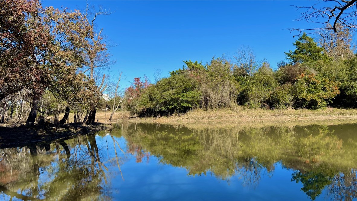 Tbd Tbd Morehead Road Bremond, TX 76629 - Photo 16 of 16 a swimming pool with trees in the background