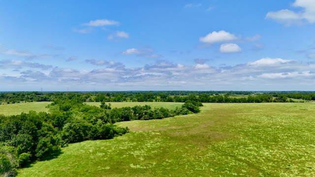 Tbd Tbd Morehead Road Bremond, TX 76629 - Photo 3 of 16 a view of a lush green field