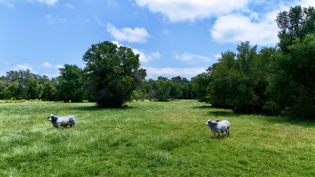 Tbd Tbd Morehead Road Bremond, TX 76629 - Photo 5 of 16 a backyard of a house with table and chairs