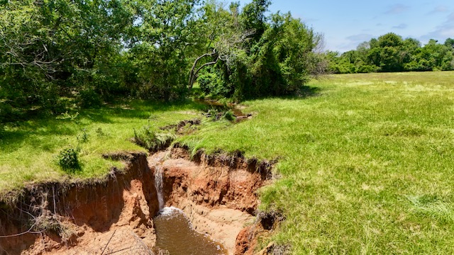 Tbd Tbd Morehead Road Bremond, TX 76629 - Photo 7 of 16 a view of a yard with plants and large trees