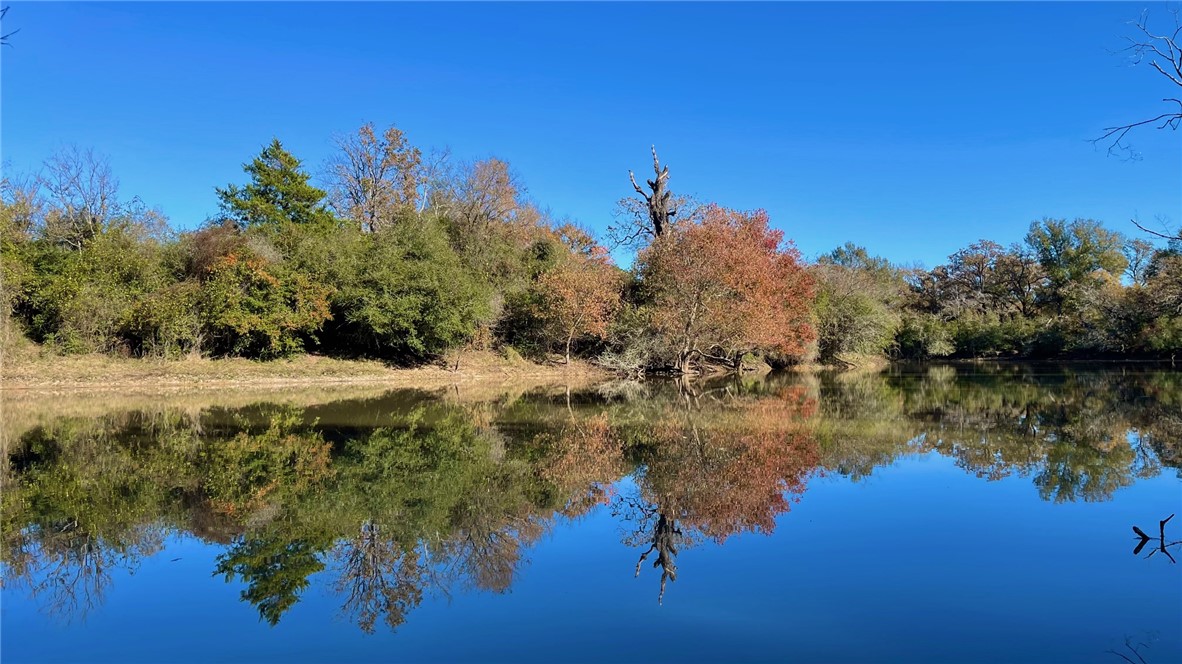 Tbd Tbd Morehead Road Bremond, TX 76629 - Photo 9 of 16