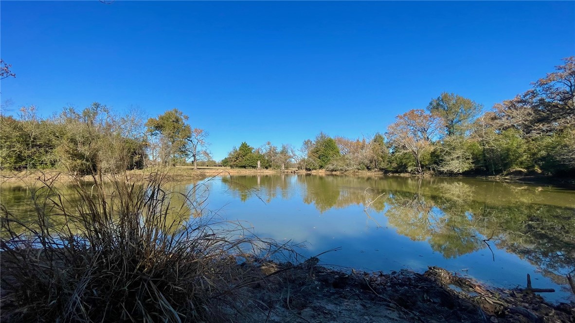 Tbd Tbd Morehead Road Bremond, TX 76629 - Photo 10 of 16 a view of lake