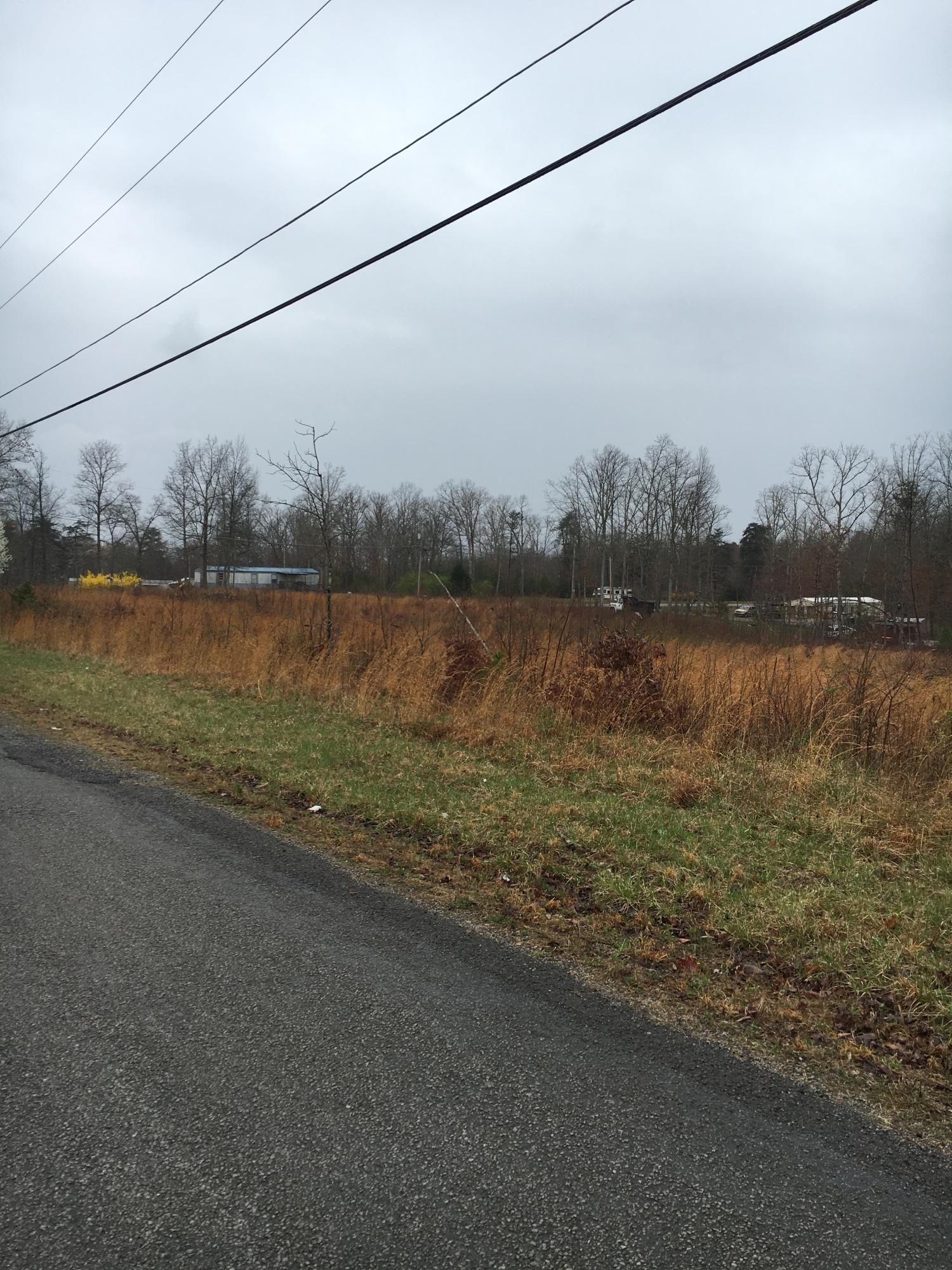 Turkey Blind Road Crossville, TN 38572 - Photo 7 of 11 turkey 04