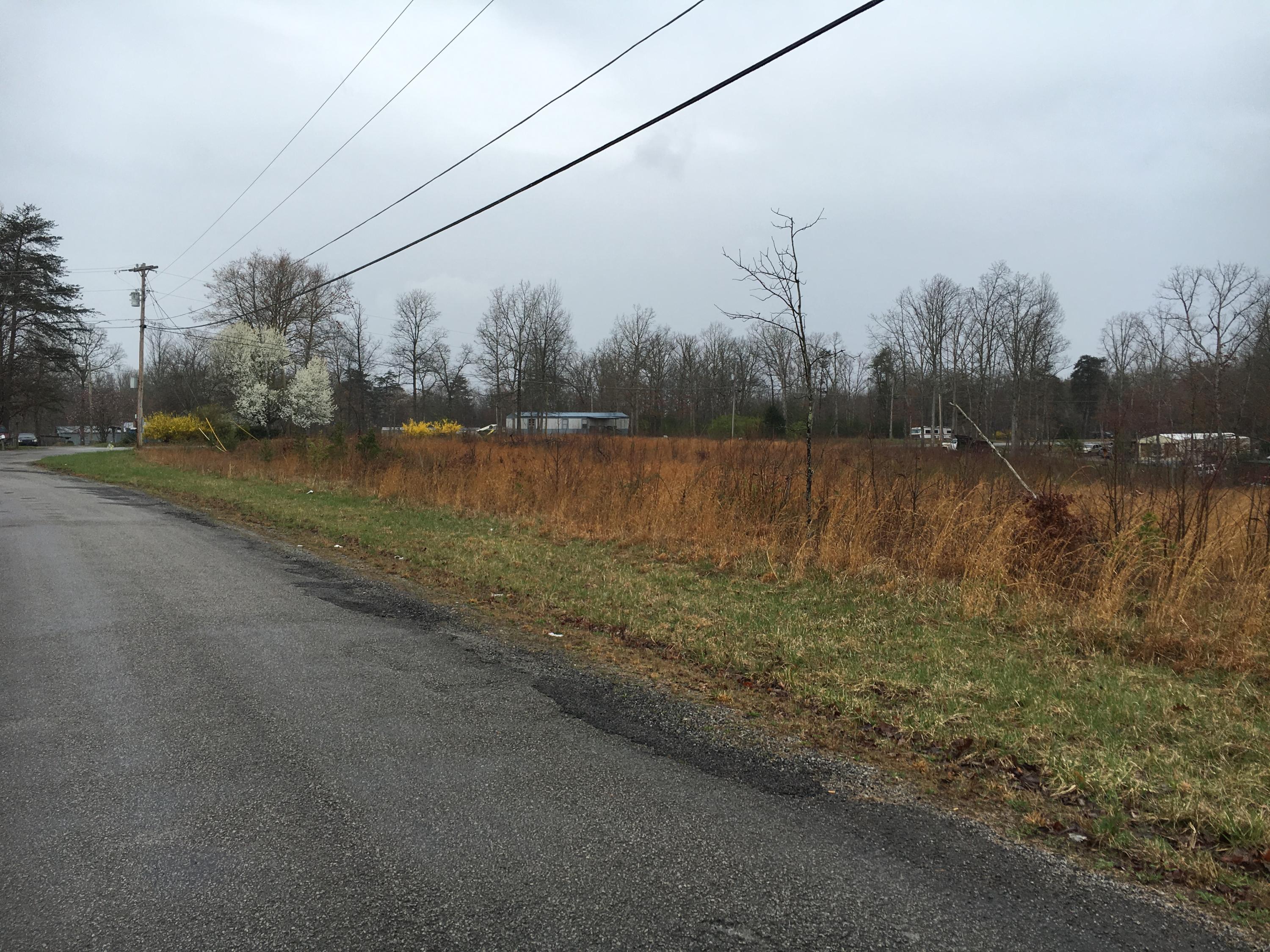 Turkey Blind Road Crossville, TN 38572 - Photo 8 of 11 turkey 01