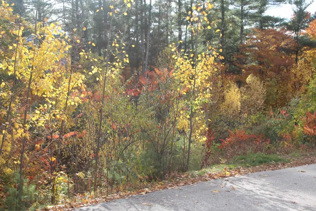 $99,999 | 3 Beechwoods Drive, Unit 3, Intervale, NH 03845