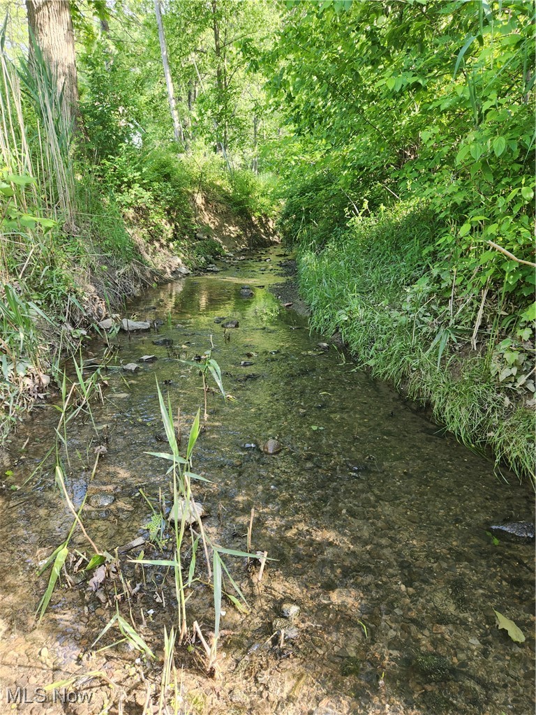 36923 Sugar Ridge Road North Ridgeville, OH 44039 - Photo 4 of 8 Stream