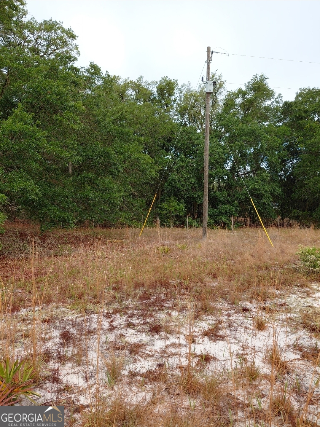779 Ralph Davis Road, Unit 1 LAND LOT Folkston, GA 31537 - Photo 13 of 28 a backyard of a house