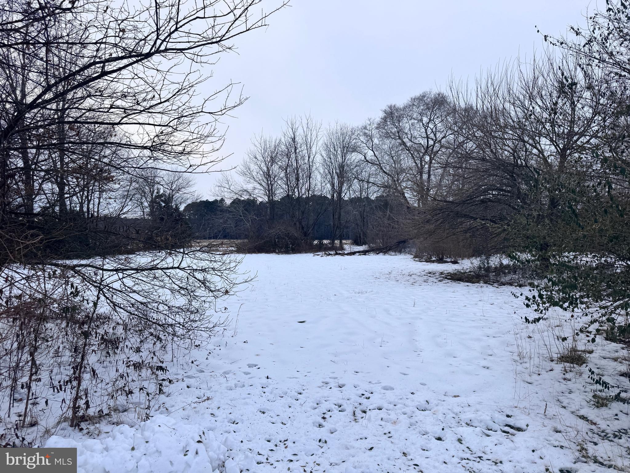 16756 Cedar Corners Road Bridgeville, DE 19933 - Photo 3 of 6 Side Yard
