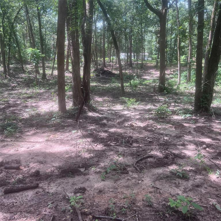 Tbd Azalea Lane Mount Vernon, TX 75457 - Photo 2 of 6