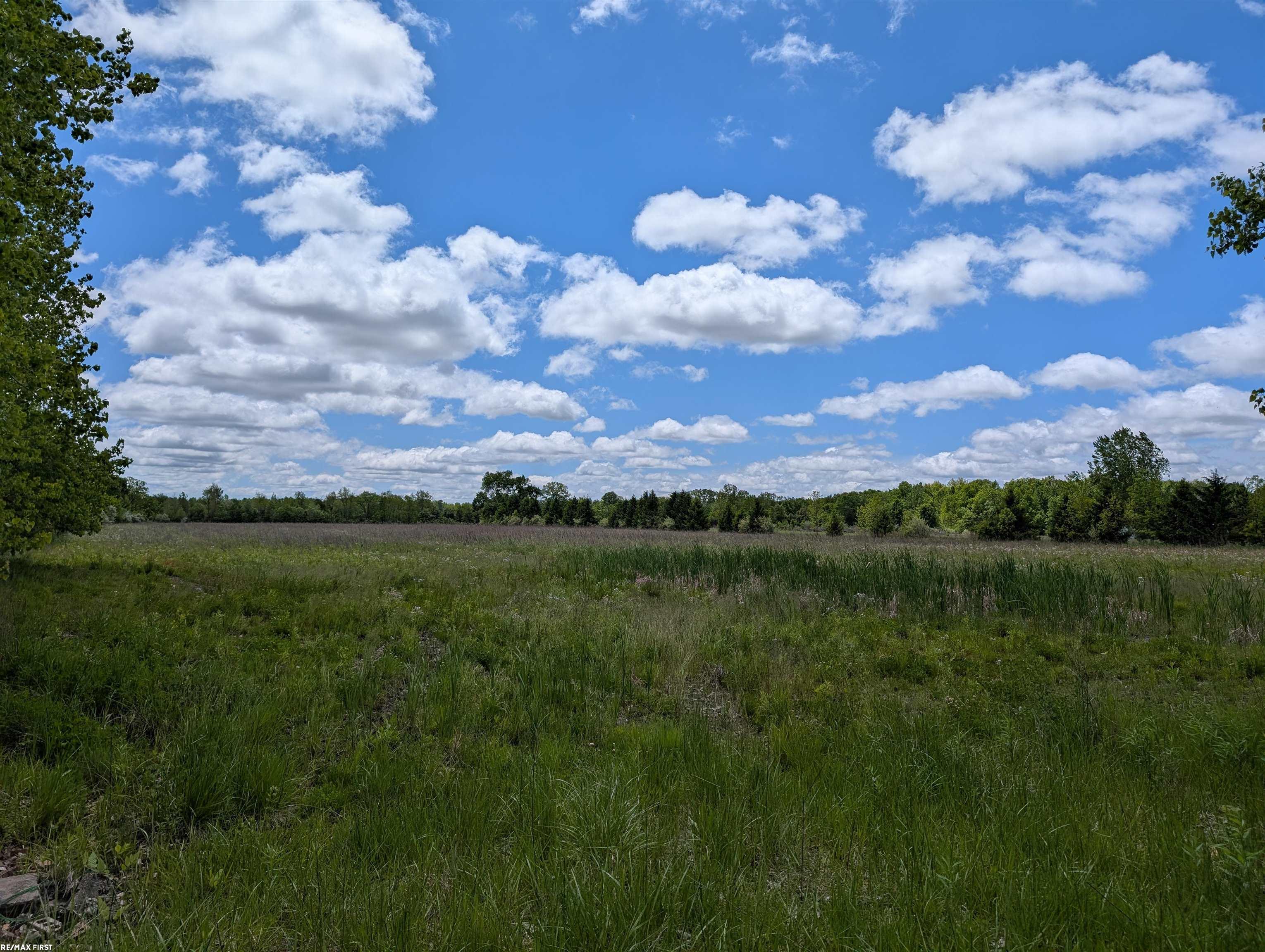 Masters Road Goodells, MI 48027 - Photo 2 of 7