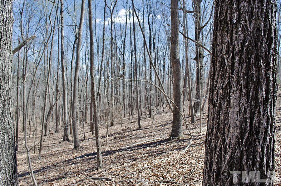 23 Fire Tower Drive Rougemont, NC 27572 - Photo 6 of 9 a view of a backyard with a wooden fence