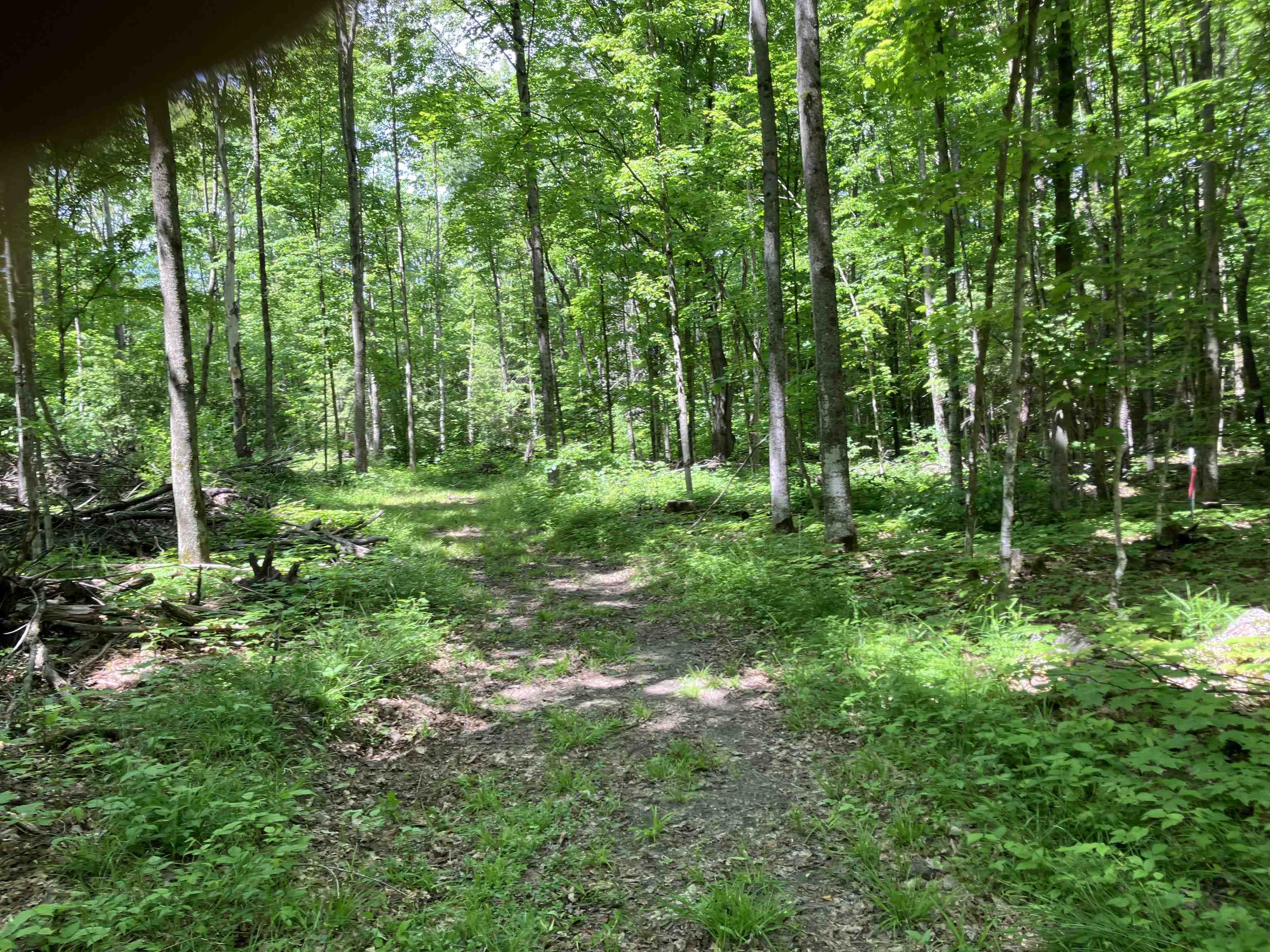 0 Cemetery Road Mancelona, MI 49659 - Photo 20 of 25