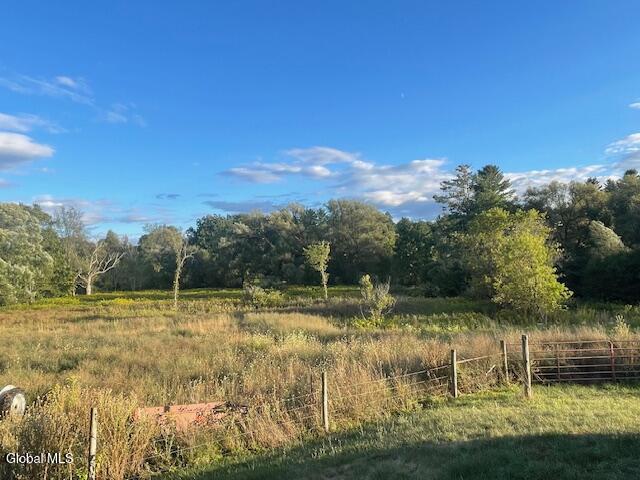 7 Cumo Road Pittstown, NY 12094 - Photo 45 of 46 IMG_4298 (1)