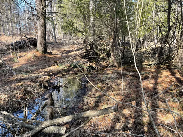 $60,000 | V/l North Lakola Road, Leroy, MI 49655