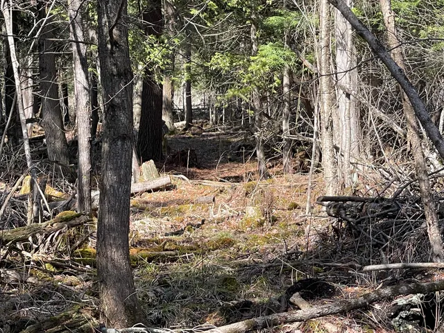 $60,000 | V/l North Lakola Road, Leroy, MI 49655