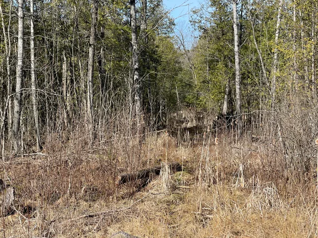 $60,000 | V/l North Lakola Road, Leroy, MI 49655