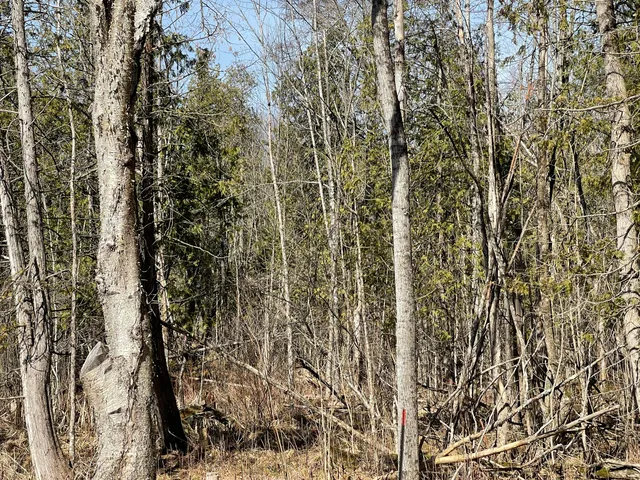 $60,000 | V/l North Lakola Road, Leroy, MI 49655