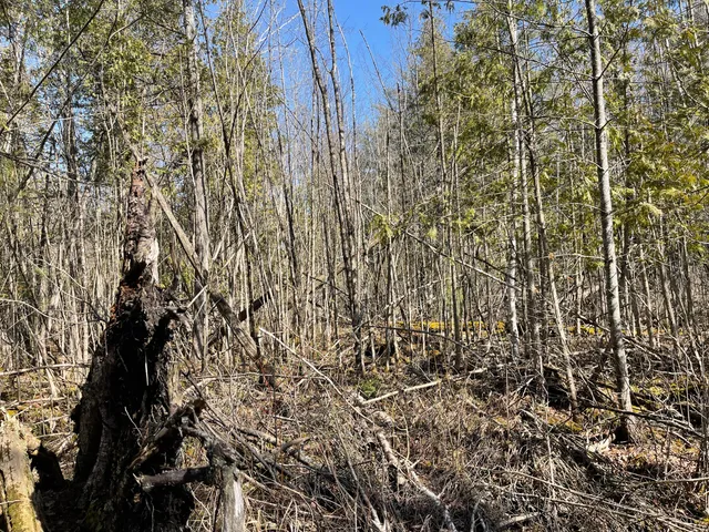 $60,000 | V/l North Lakola Road, Leroy, MI 49655