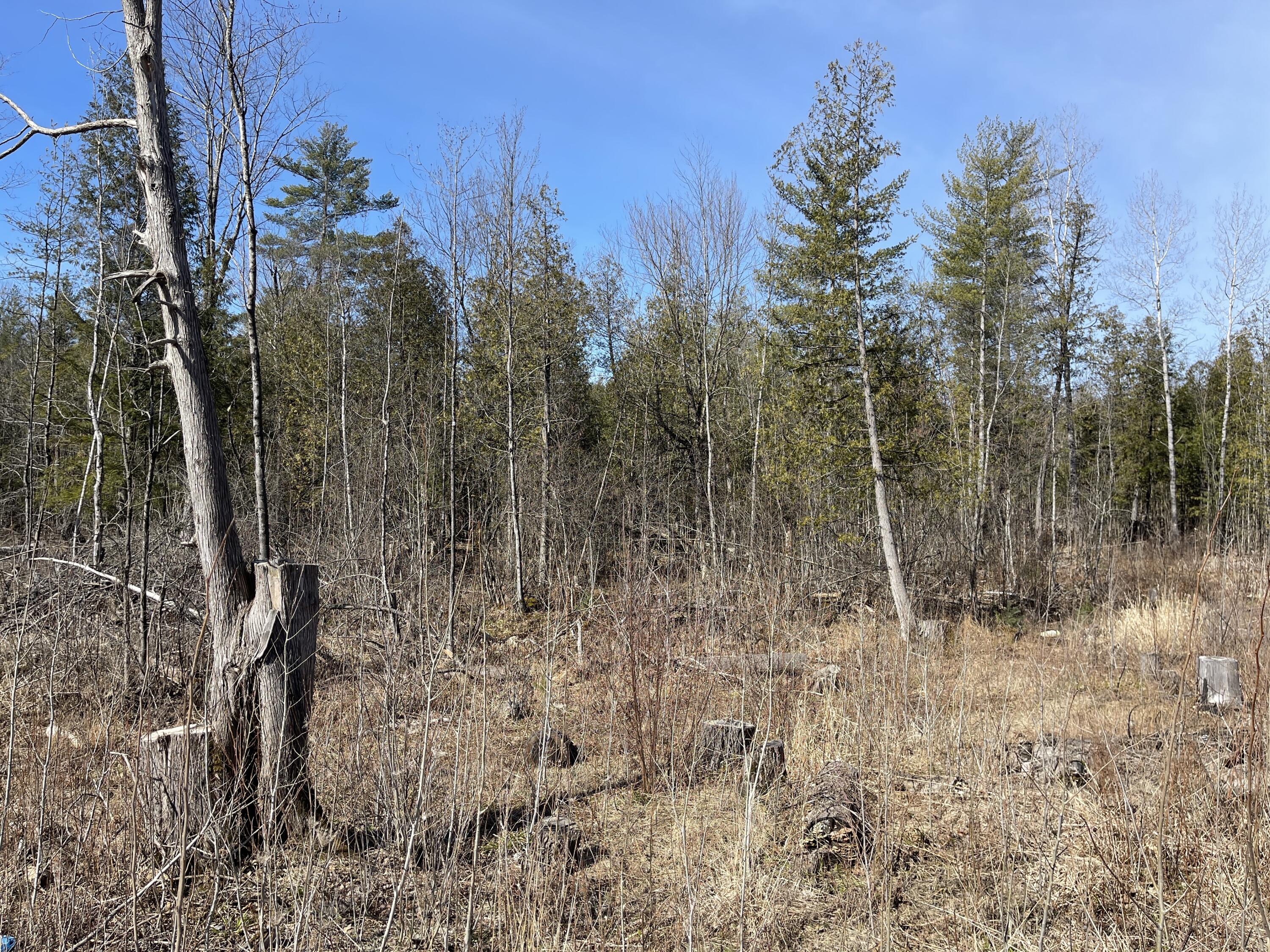 V/l North Lakola Road Leroy, MI 49655 - Photo 16 of 16 IMG_9063