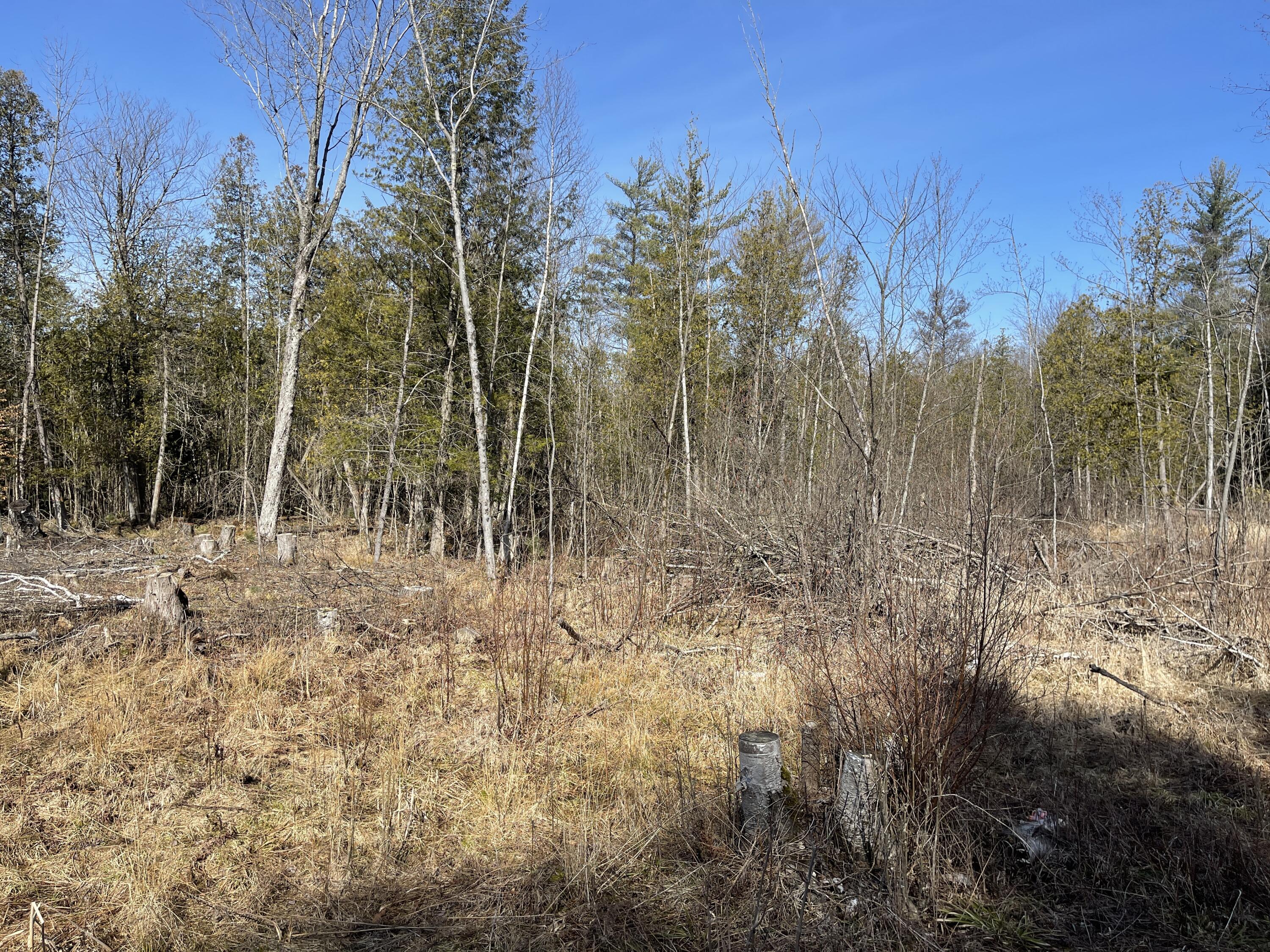 V/l North Lakola Road Leroy, MI 49655 - Photo 2 of 16 IMG_9048